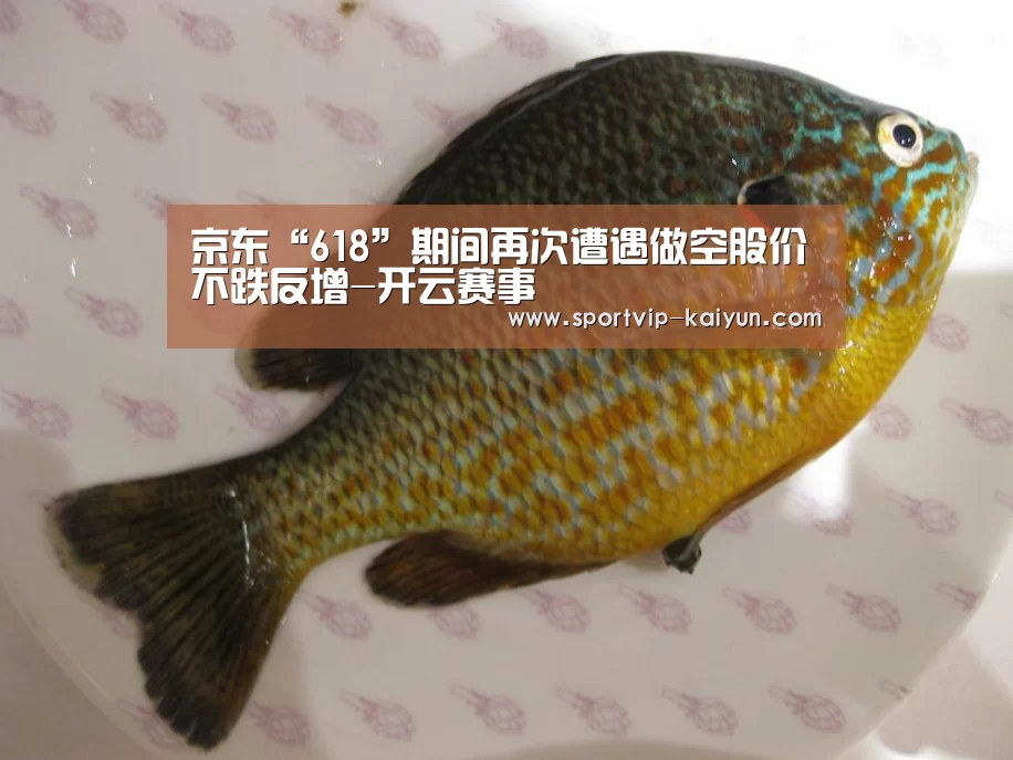 开云体育