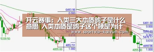 开云赛事:人类三大本质鸽子是什么意思 人类本质是鸽子这个梗是为什么(图1) 开云足球